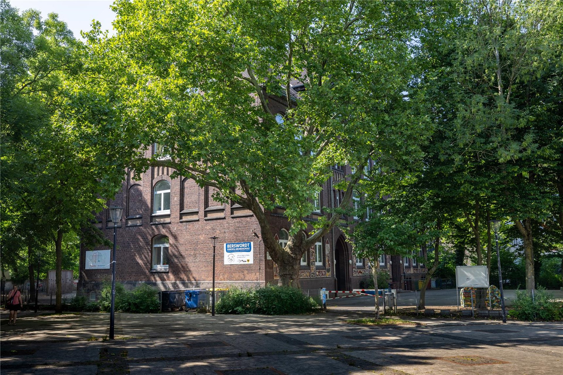 Der Schulhof ist geprägt durch alten Baumbestand.